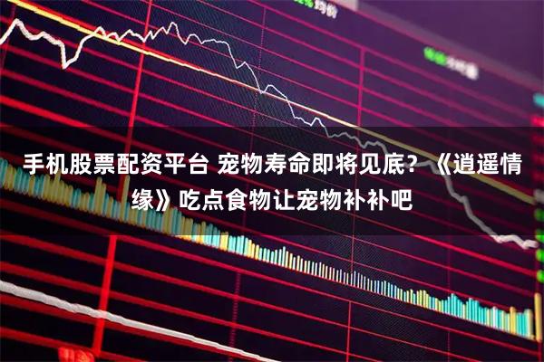 手机股票配资平台 宠物寿命即将见底？《逍遥情缘》吃点食物让宠物补补吧